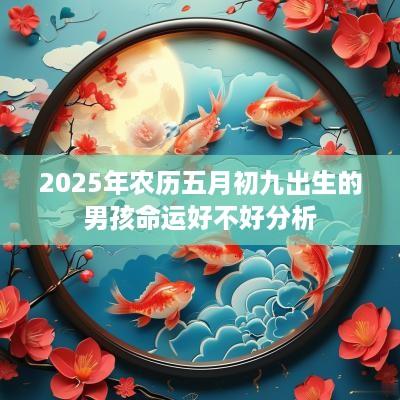 2025年农历五月初九出生的男孩命运好不好分析