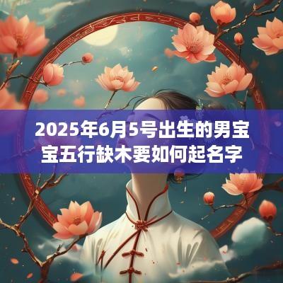 2025年6月5号出生的男宝宝五行缺木要如何起名字