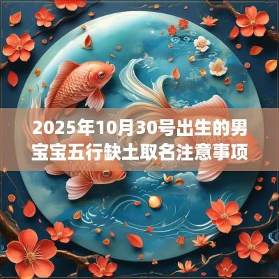 2025年10月30号出生的男宝宝五行缺土取名注意事项 2025年10月30号出生的男宝宝五行缺土取名注意事项
