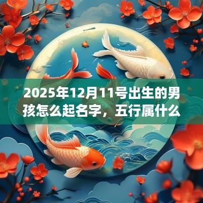 2025年12月11号出生的男孩怎么起名字，五行属什么