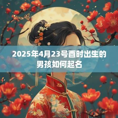 2025年4月23号酉时出生的男孩如何起名