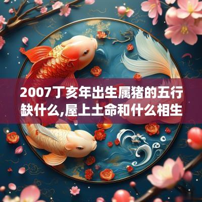 2007丁亥年出生属猪的五行缺什么,屋上土命和什么相生相克