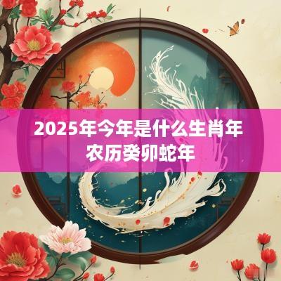 2025年今年是什么生肖年 农历癸卯蛇年
