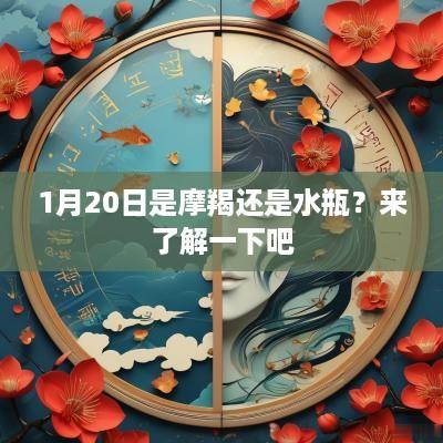 1月20日是摩羯还是水瓶？来了解一下吧
