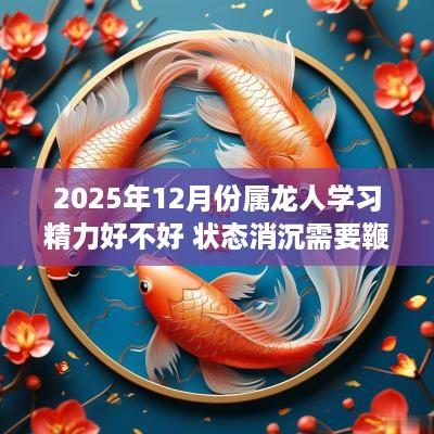 2025年12月份属龙人学习精力好不好 状态消沉需要鞭策