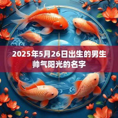 2025年5月26日出生的男生帅气阳光的名字