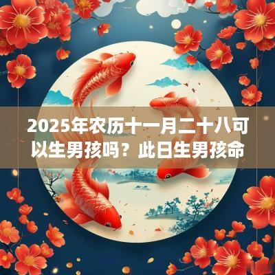2025年农历十一月二十八可以生男孩吗？此日生男孩命运？