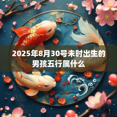 2025年8月30号未时出生的男孩五行属什么