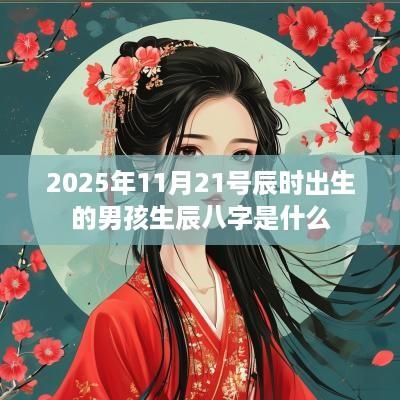 2025年11月21号辰时出生的男孩生辰八字是什么