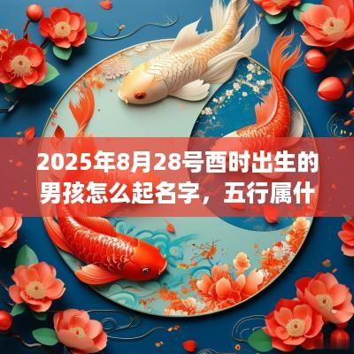 2025年8月28号酉时出生的男孩怎么起名字，五行属什么