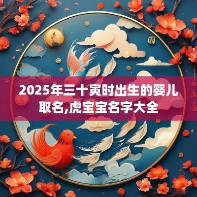 2025年三十寅时出生的婴儿取名,虎宝宝名字大全