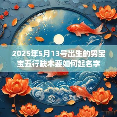2025年5月13号出生的男宝宝五行缺木要如何起名字