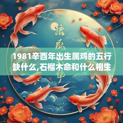 1981辛酉年出生属鸡的五行缺什么,石榴木命和什么相生相克