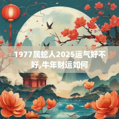 1977属蛇人2025运气好不好,蛇年财运如何