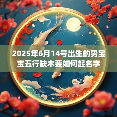 2025年6月14号出生的男宝宝五行缺木要如何起名字