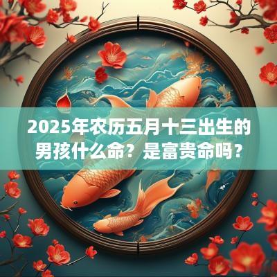 2025年农历五月十三出生的男孩什么命？是富贵命吗？