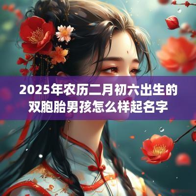 2025年农历二月初六出生的双胞胎男孩怎么样起名字
