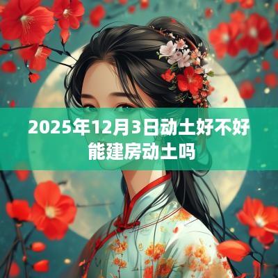 2025年12月3日动土好不好 能建房动土吗