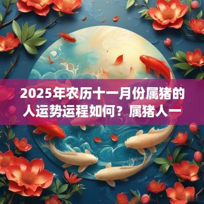 2025年农历十一月份属猪的人运势运程如何?属猪人一辈子的克星 2025年农历十一月份属猪的人运势运程如何?属猪人一辈子的克星