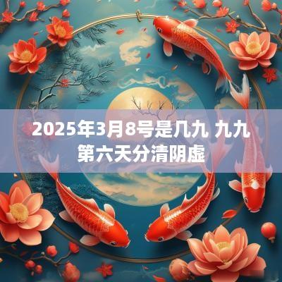 2025年3月8号是几九 九九第六天分清阴虚