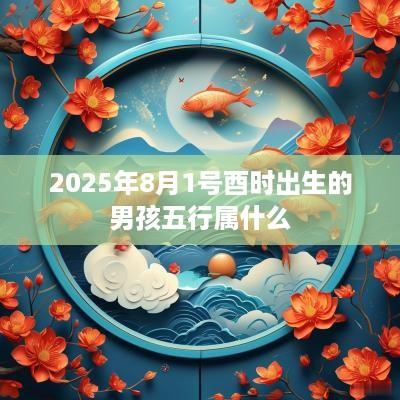 2025年8月1号酉时出生的男孩五行属什么