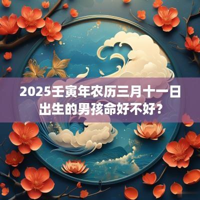 2025壬寅年农历三月十一日出生的男孩命好不好？