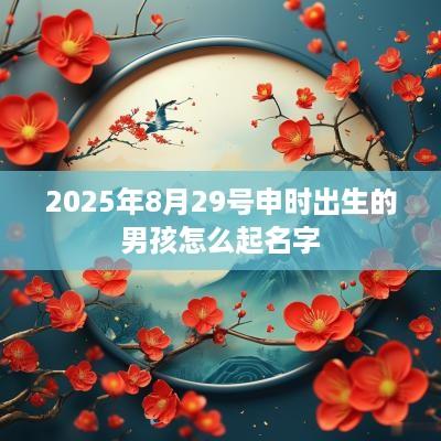 2025年8月29号申时出生的男孩怎么起名字
