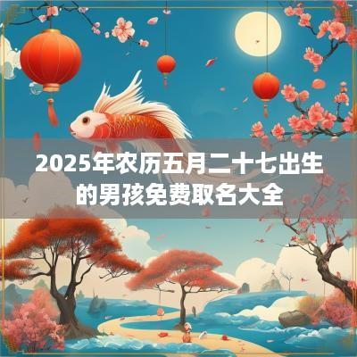 2025年农历五月二十七出生的男孩免费取名大全