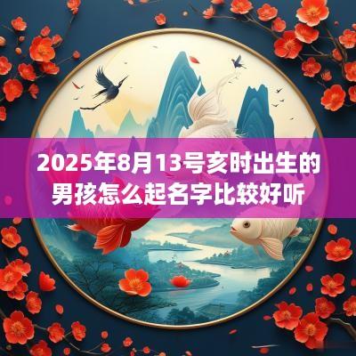 2025年8月13号亥时出生的男孩怎么起名字比较好听