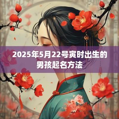 2025年5月22号寅时出生的男孩起名方法