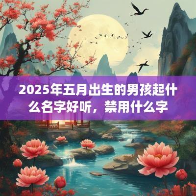 2025年五月出生的男孩起什么名字好听，禁用什么字