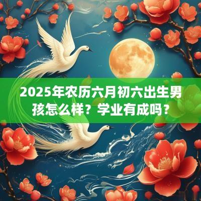 2025年农历六月初六出生男孩怎么样？学业有成吗？