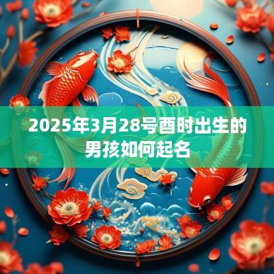 2025年3月28号酉时出生的男孩如何起名
