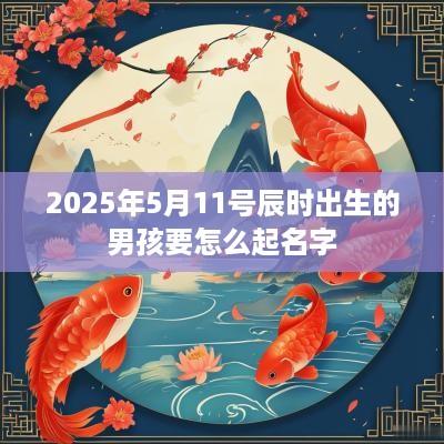 2025年5月11号辰时出生的男孩要怎么起名字
