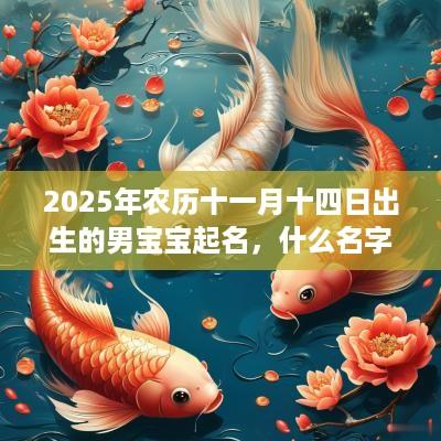2025年农历十一月十四日出生的男宝宝起名，什么名字好？