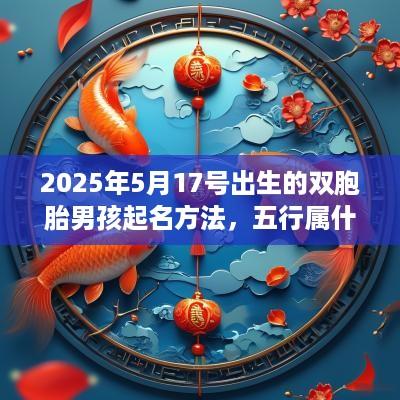 2025年5月17号出生的双胞胎男孩起名方法，五行属什么