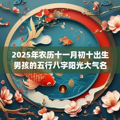 2025年农历十一月初十出生男孩的五行八字阳光大气名字精选