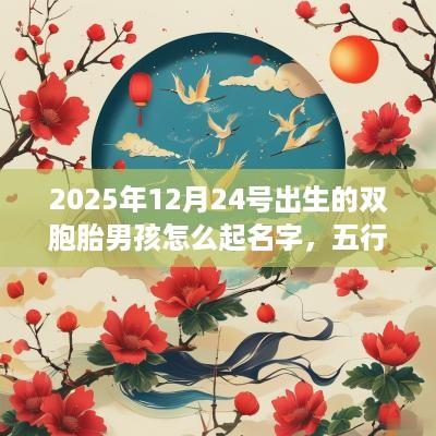 2025年12月24号出生的双胞胎男孩怎么起名字，五行属什么