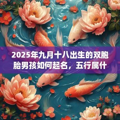 2025年九月十八出生的双胞胎男孩如何起名，五行属什么
