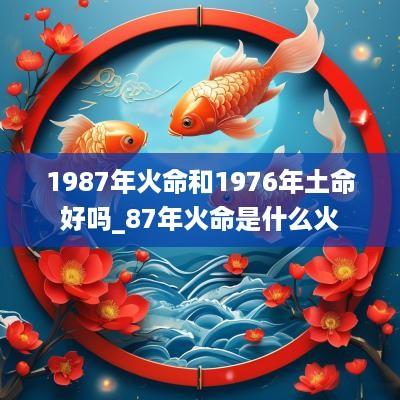 1987年火命和1976年土命好吗_87年火命是什么火