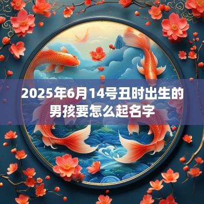 2025年6月14号丑时出生的男孩要怎么起名字