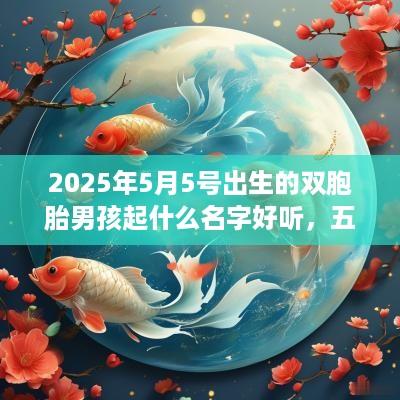 2025年5月5号出生的双胞胎男孩起什么名字好听，五行属什么