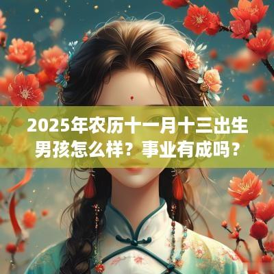 2025年农历十一月十三出生男孩怎么样？事业有成吗？