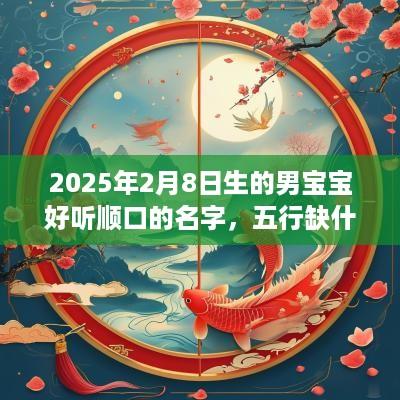 2025年2月8日生的男宝宝好听顺口的名字，五行缺什么？