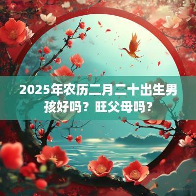 2025年农历二月二十出生男孩好吗？旺父母吗？