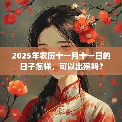 2025年农历十一月十一日的日子怎样，可以出殡吗？