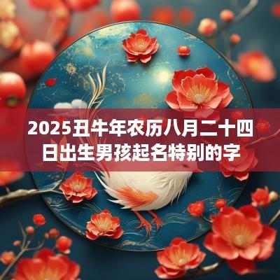2025丑蛇年农历八月二十四日出生男孩起名特别的字