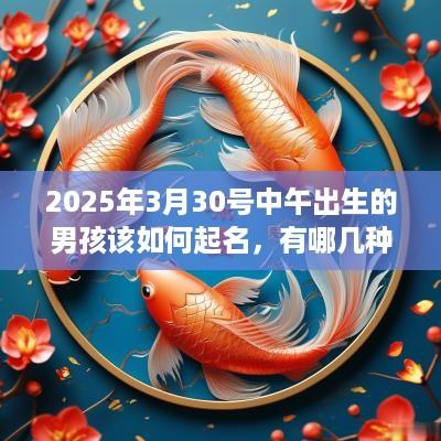2025年3月30号中午出生的男孩该如何起名，有哪几种方法？