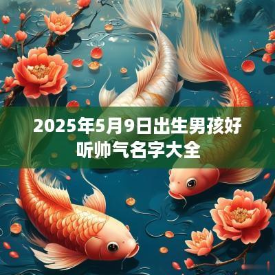 2025年5月9日出生男孩好听帅气名字大全