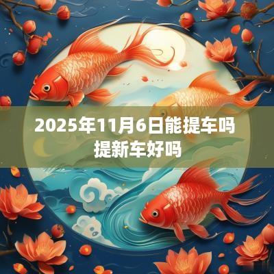 2025年11月6日能提车吗 提新车好吗